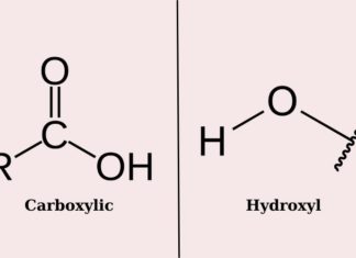 Exploring the Distinctions between AHA, PHA, LHA, and BHA