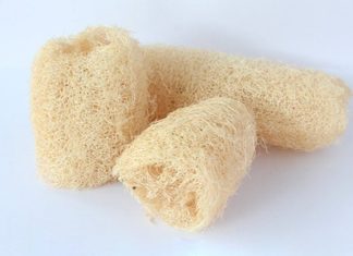 Does Papaya Enzyme Really Help Exfoliate Effectively?