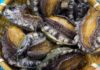 What is the Cost and Nutritional Content of Korean Abalone per Kilogram?