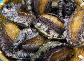 What is the Cost and Nutritional Content of Korean Abalone per Kilogram?