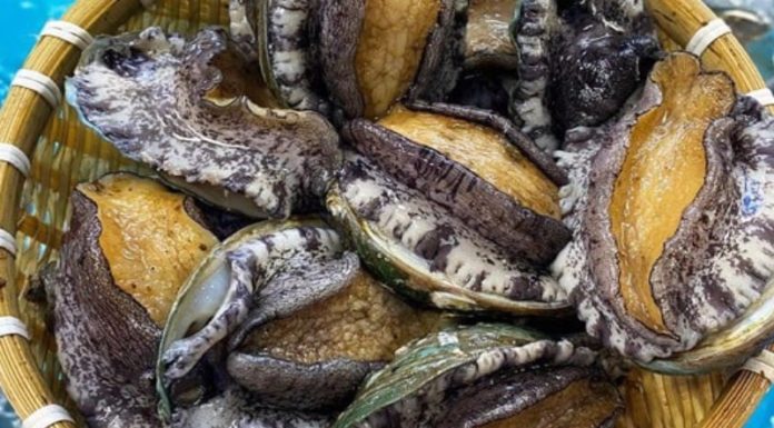 What is the Cost and Nutritional Content of Korean Abalone per Kilogram?