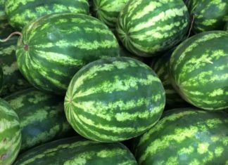 Prolonging Sweetness – Tips for Storing Watermelon for Extended Freshness