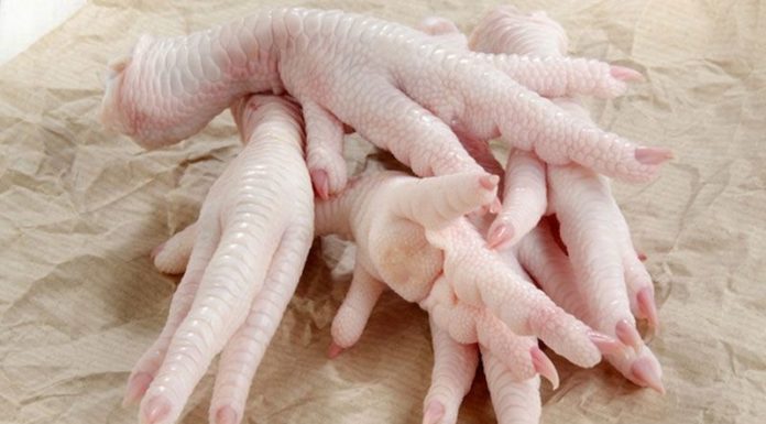 Guide to Selecting Chemical-Free Fresh and Tasty Chicken Feet