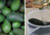 How to Prolong the Freshness of Ripe Avocados for up to 7 Days Using Water