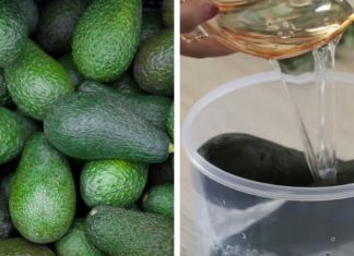 How to Prolong the Freshness of Ripe Avocados for up to 7 Days Using Water
