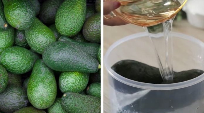 How to Prolong the Freshness of Ripe Avocados for up to 7 Days Using Water