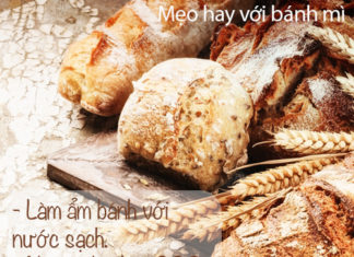 “How To Transform a Stale Bread Roll Into a Hot and Crispy Snack”