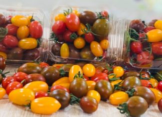 Types of Delicious Fresh Cherry Tomatoes: Everything You Need to Know