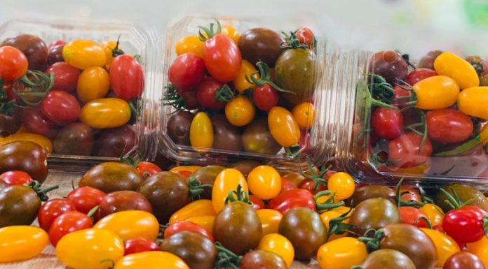 Types of Delicious Fresh Cherry Tomatoes: Everything You Need to Know