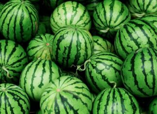 Tips for Selecting an Ideal Watermelon for the Tet Fruit Tray