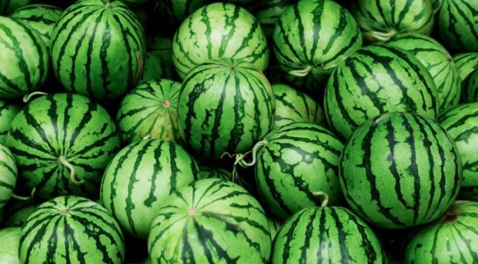 Tips for Selecting an Ideal Watermelon for the Tet Fruit Tray