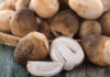 The Miraculous Health Benefits of Edible Mushrooms