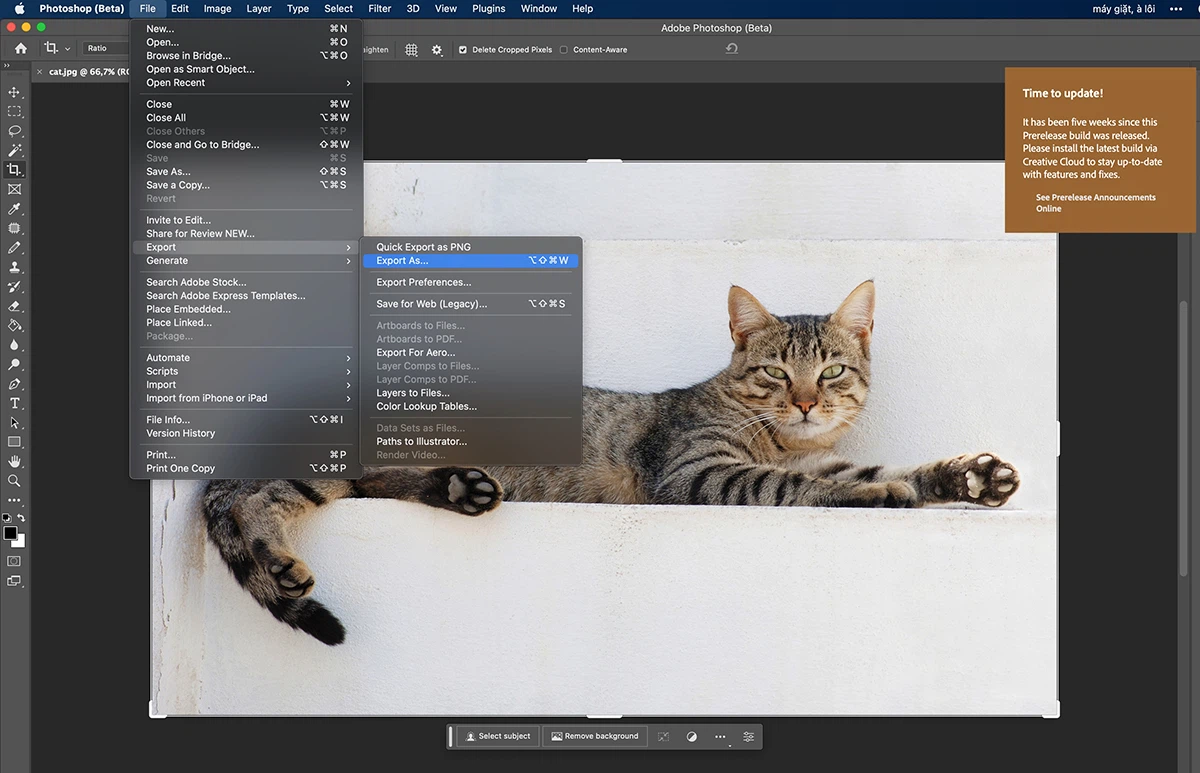 Learn How to Export High-Quality Photos Using Photoshop