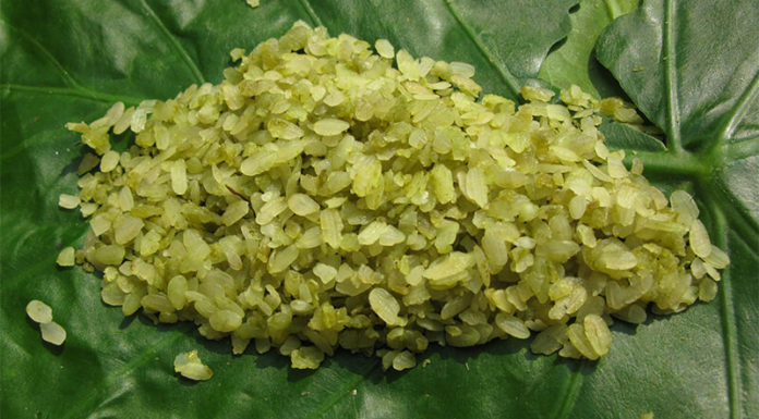 Tips for Preserving Fresh Rice with its Delicious Aroma