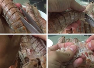 Quick and Clean Method for Peeling a Shrimp Shell without Losing Meat