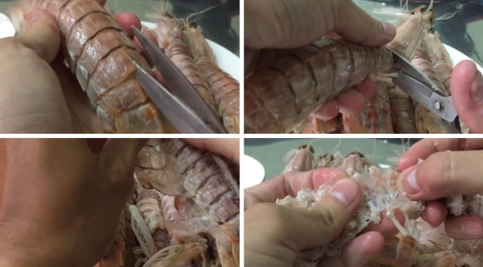 Quick and Clean Method for Peeling a Shrimp Shell without Losing Meat