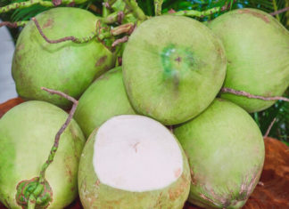 Tips for Selecting the Best Coconut