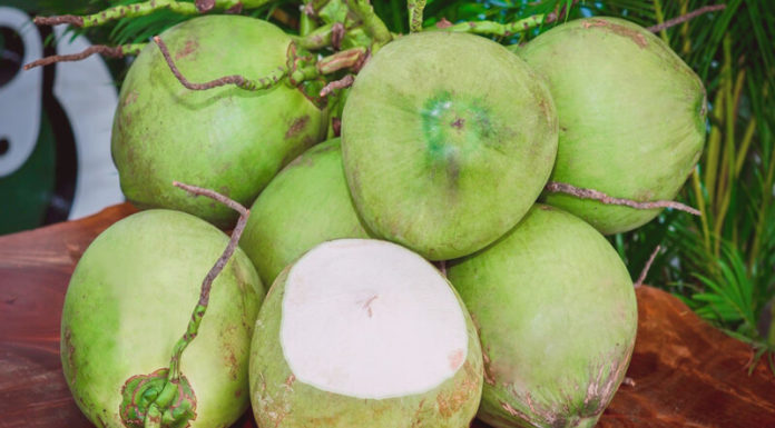 Tips for Selecting the Best Coconut