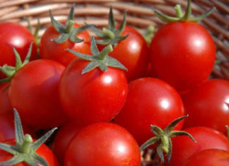 Tips for Buying Chemical-Free Vegetables for Mixed Salads