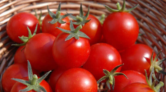 Tips for Buying Chemical-Free Vegetables for Mixed Salads