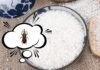 Effective Methods for Eliminating Rice Weevils