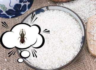 Effective Methods for Eliminating Rice Weevils