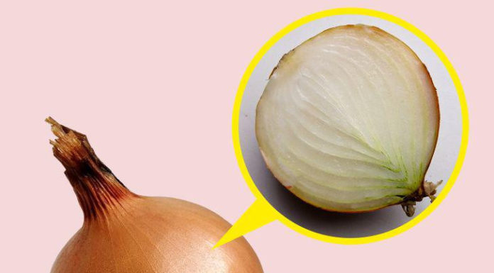 Cooking Delicious and Nutritious Dishes with Different Types of Onions