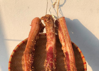 Ladies: Enjoy Delicious Sunbathing Meat Dish on this 40-Degree Day!