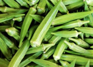 Tips for Perfectly Boiled Green Beans