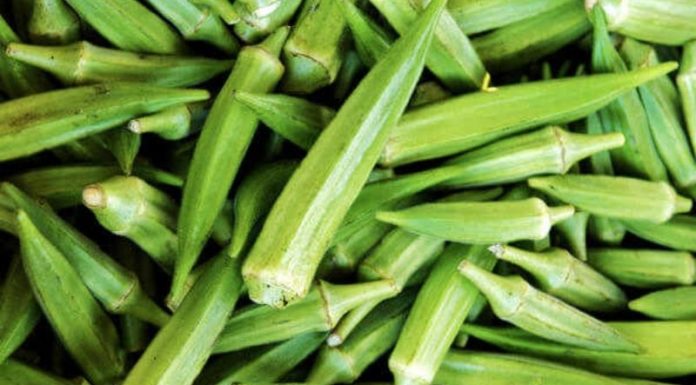 Tips for Perfectly Boiled Green Beans