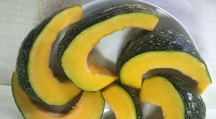 Identifying Characteristics of Chinese and Vietnamese Pumpkins