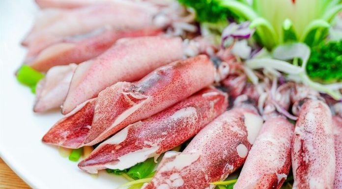 Identifying and Choosing Fresh Squid Ink for Delicious Home Cooked Meals
