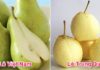 Identifying the Difference between Chinese and Vietnamese Pears