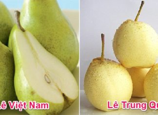 Identifying the Difference between Chinese and Vietnamese Pears