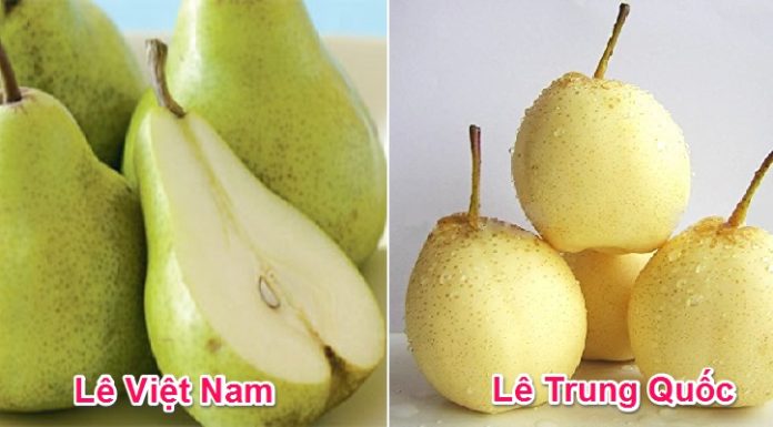Identifying the Difference between Chinese and Vietnamese Pears