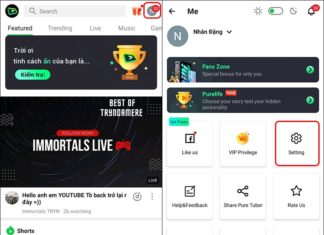How to Easily Change Pure Tuber’s Language to Vietnamese