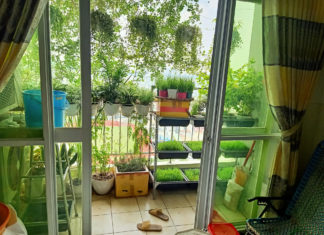 Tips for Managing Sun Exposure on a West-Facing Balcony in the Summer