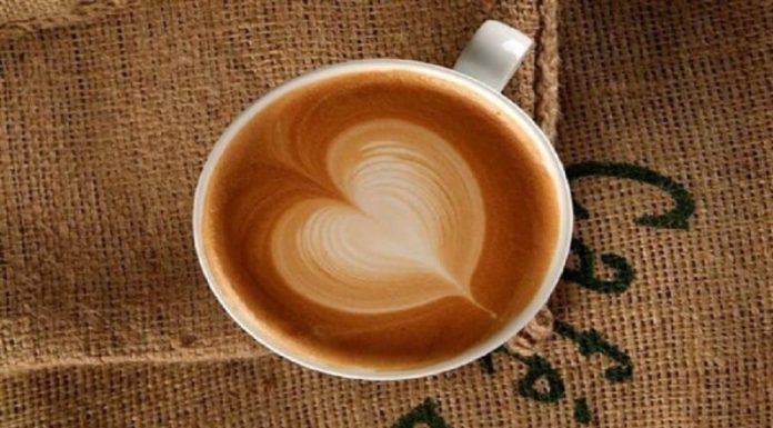 Exploring the Differences Between Cappuccinos and Lattes