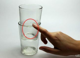 The Power of Collective Problem-Solving: How a Community of 100 and 101 Individuals Overcame a Universal Challenge