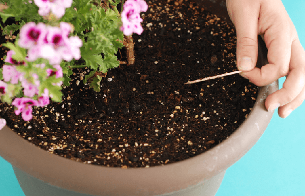 Discover the Amazing Benefits of Using a Toothpick!