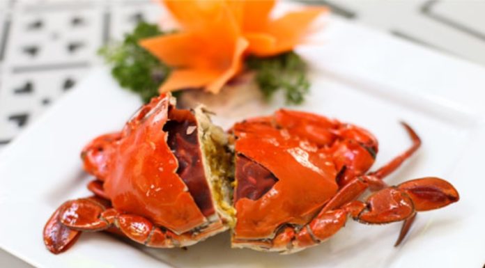 How to Select and Purchase Quality Cua Com