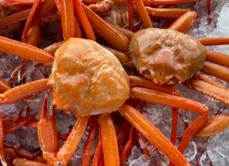 Distinguishing Between King Crab and Alaska Snow Crab