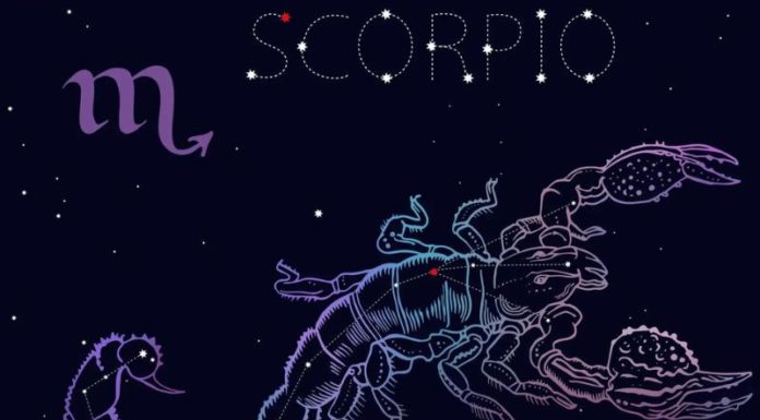 What Zodiac Sign is Scorpio & Who are They Compatible With?
