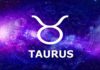 Personality Traits of the Taurus Zodiac Sign: What to Expect in the Month of Taurus