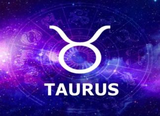 Personality Traits of the Taurus Zodiac Sign: What to Expect in the Month of Taurus