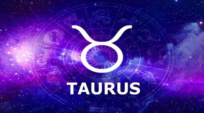Personality Traits of the Taurus Zodiac Sign: What to Expect in the Month of Taurus