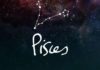Which Zodiac Signs are Compatible with Pisces in Love and Career?