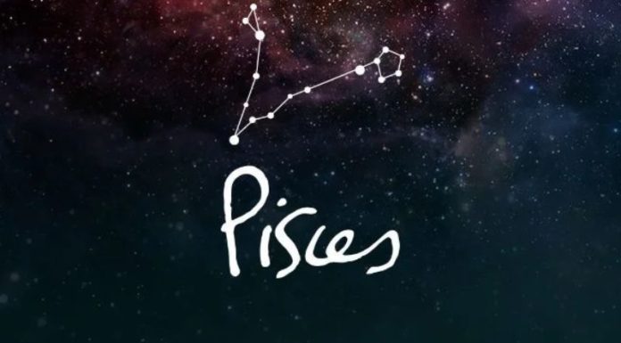 Which Zodiac Signs are Compatible with Pisces in Love and Career?