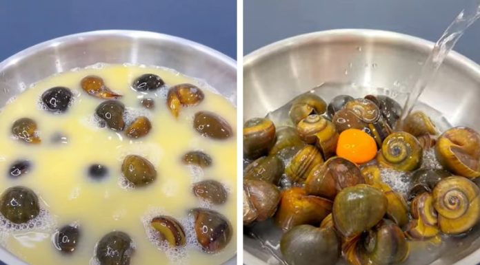 Cracking an Egg into a Bowl without Pre-Cleaning