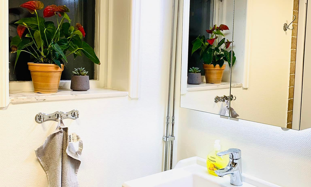 Tips on Maintaining a Clean and Shiny Restroom